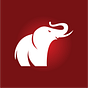 The Elephant's avatar