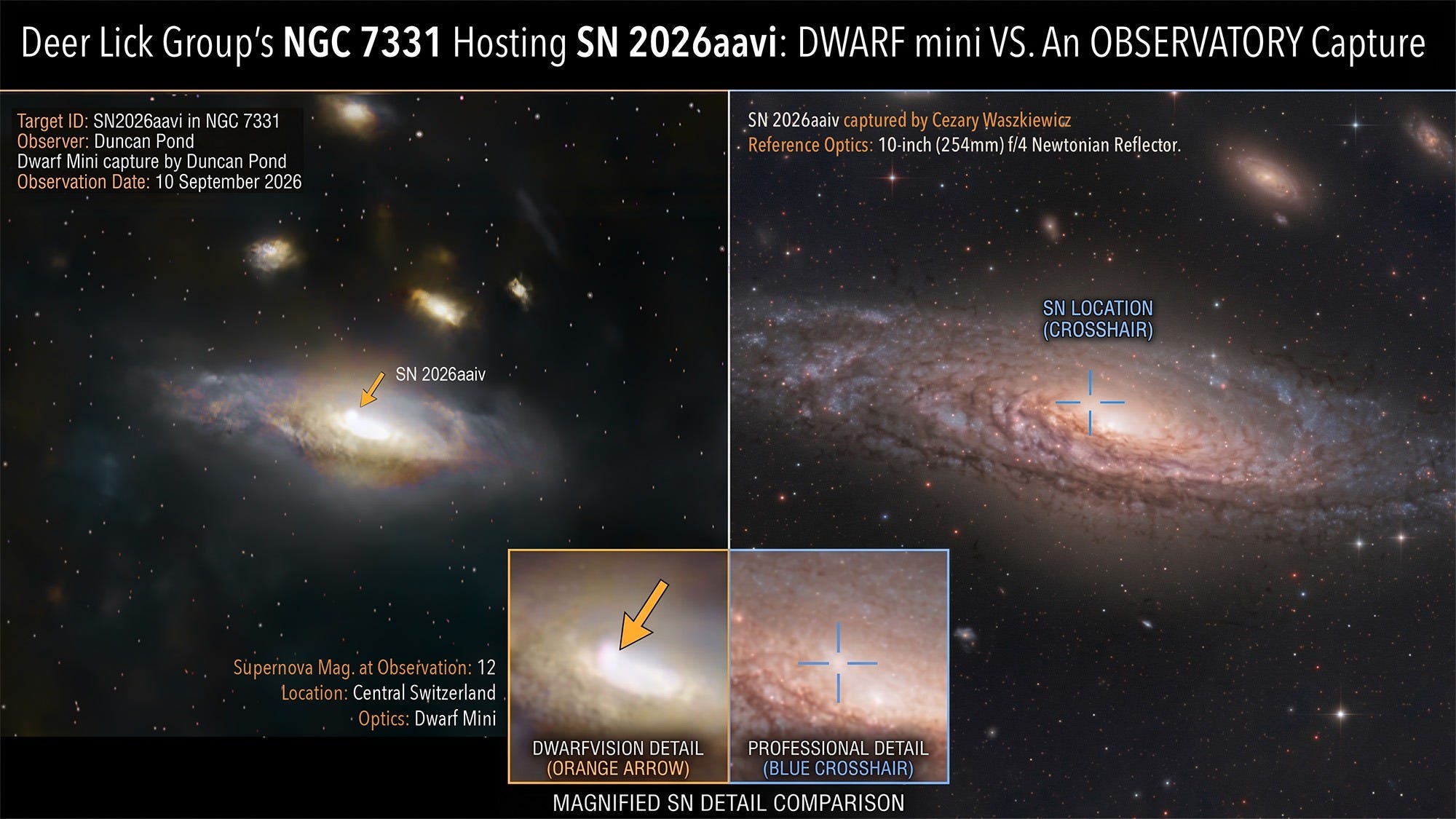 We Caught a Supernova (Again!): Celebrating DwarfVision's Citizen