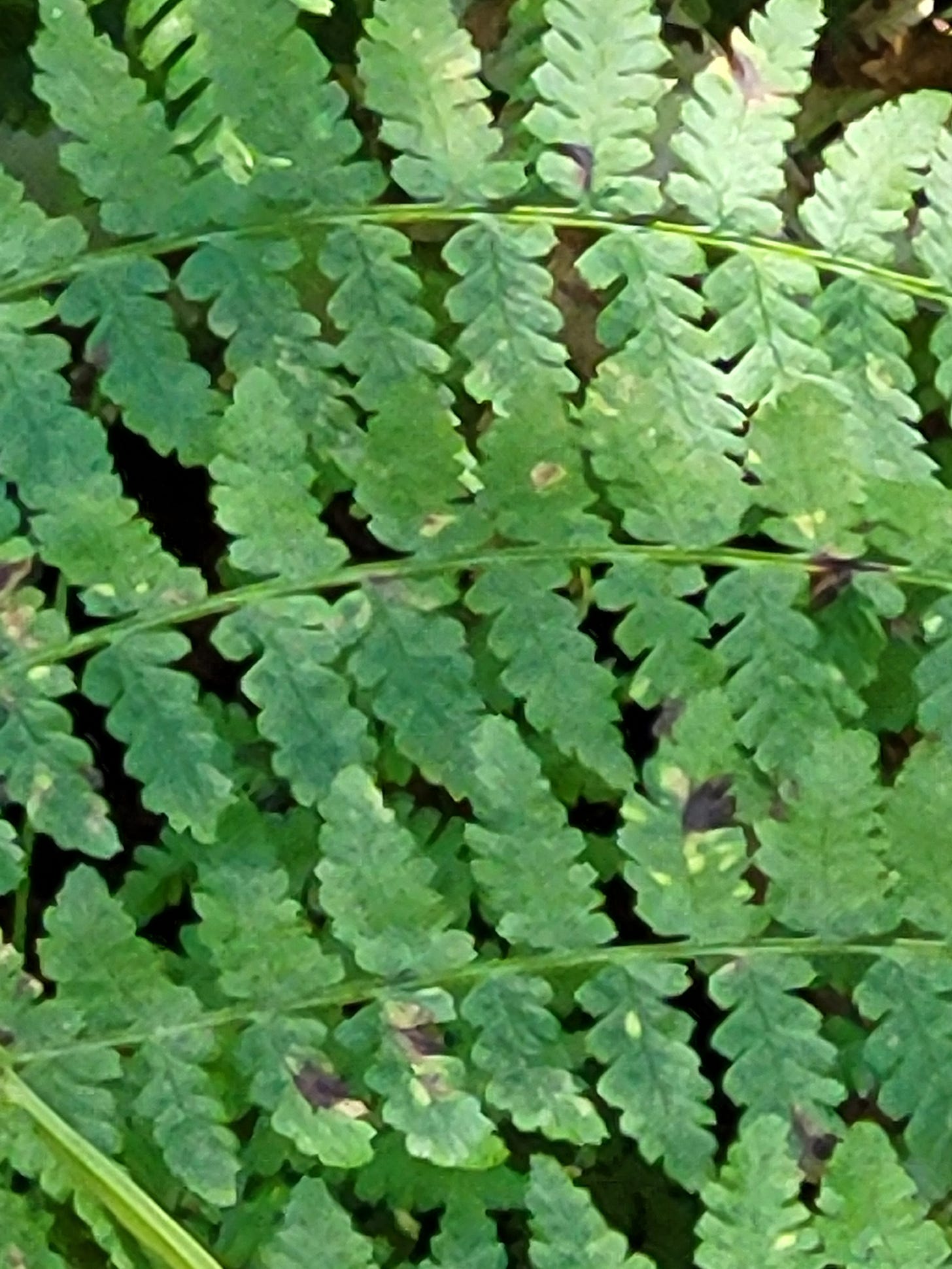 More Than Just Beads on a String More Than Just Beads on a String