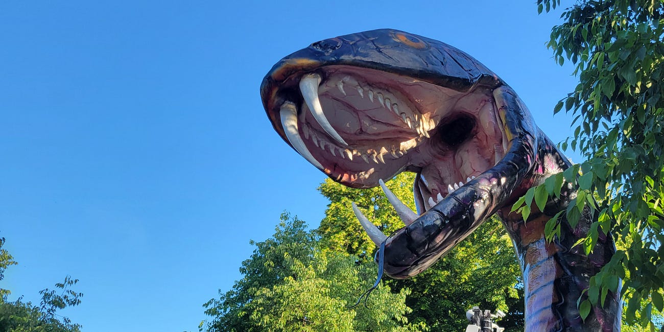 CHAPTER 13: The Black Mamba