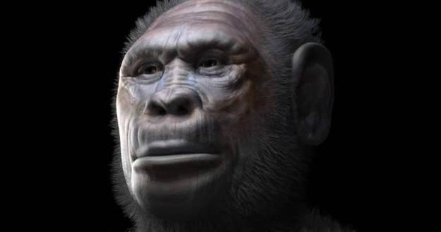 A facial reconstruction representing a male individual of Homo georgicus