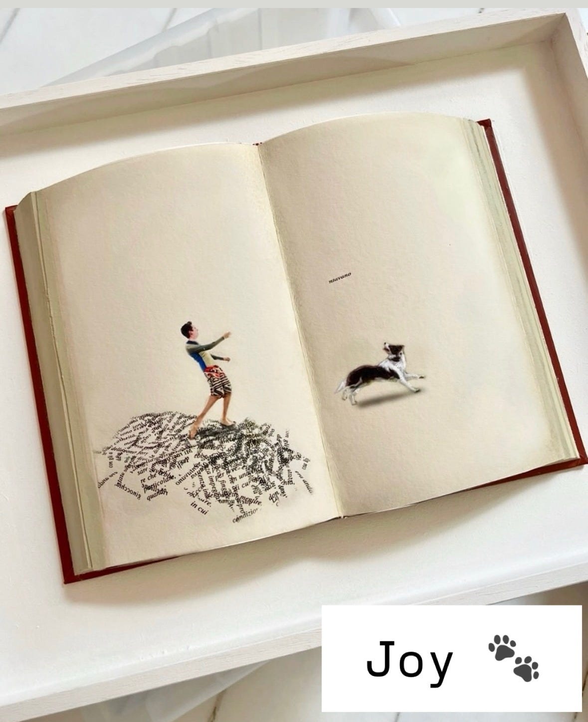 qotd, rumi, sahil bloom, jay shetty, on purpose, feel better, inspirational quotes, book recs, best books, goodreads, humor, iamthirtyaf, illustrations, mental wellness, power of positive thinking, universe, gratitude, friends, positivity, confidence, nice news, art, line drawings, linear theory, inspirational quotes, new yorker, poetry, universe, life advice, career, success, positive news, c magazine, ad magazine the New Yorker newyorker PRetirement, petsofinstagram, cats, petlovers, pets Santa Monica, Melrose, vogue living, Elle decor, interior design, flowers, Vintage, C Magazine, Los Angeles, pink decor, think pink, vogue, Brazil, Brazil, duo lingo qotd, rumi, sahil bloom, jay shetty, on purpose, feel better, inspirational quotes, book recs, best books, goodreads, humor, iamthirtyaf, illustrations, mental wellness, power of positive thinking, universe, gratitude, friends, positivity, confidence, nice news, art, line drawings, linear theory, inspirational quotes, new yorker, poetry, universe, life advice, career, success, positive news, c magazine, ad magazine the New Yorker newyorker PRetirement, petsofinstagram, cats, petlovers, pets Santa Monica, Melrose, vogue living, Elle decor, interior design, flowers, Vintage, C Magazine, Los Angeles, pink decor, think pink, vogue, Brazil, Brazil, duo lingo