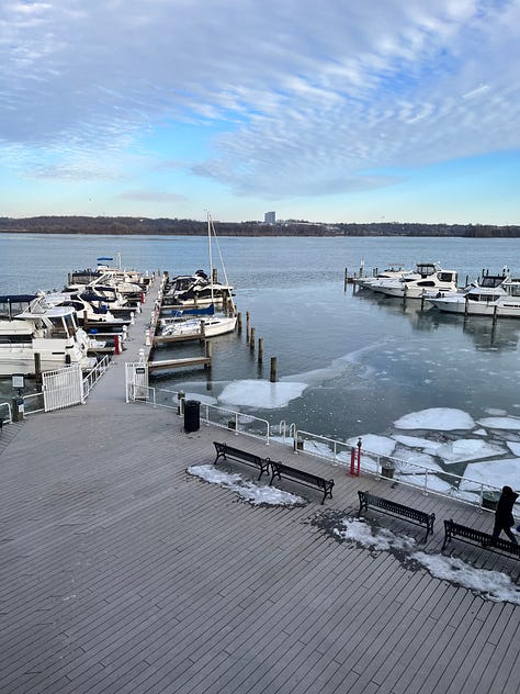 Photos depicting winter skies, snowfall and pets surviving the cold weather.
