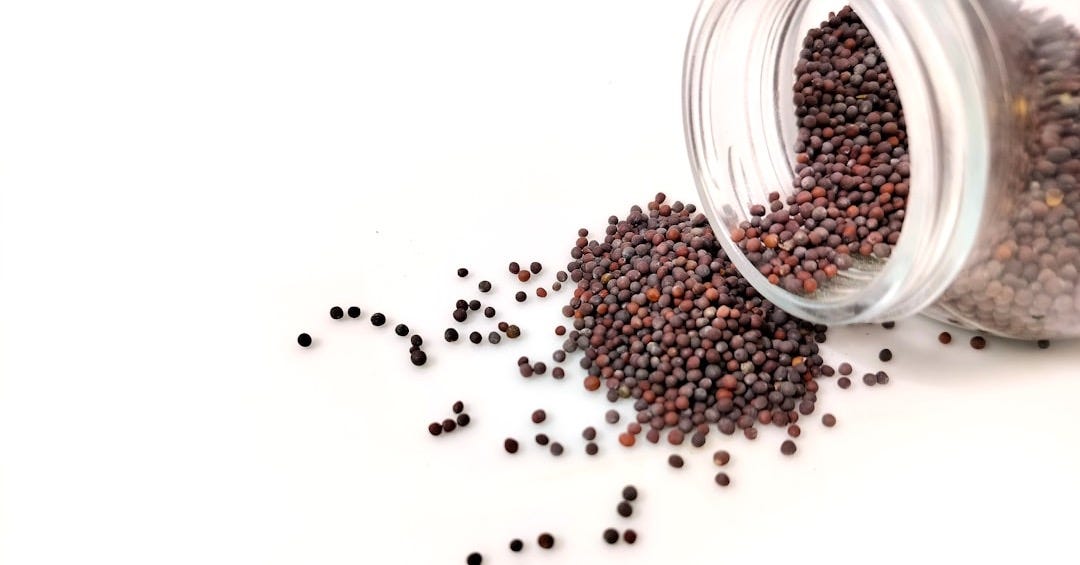 a glass jar filled with black seed on top of a white table