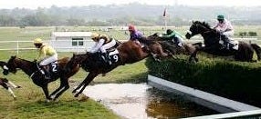 Steeplechase (horse racing) - Wikipedia Steeplechase (horse racing) - Wikipedia