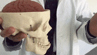 Football Brain GIF by University of California Football Brain GIF by University of California