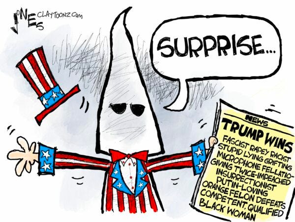 United States : Donald Trump is back - Cartooning for Peace