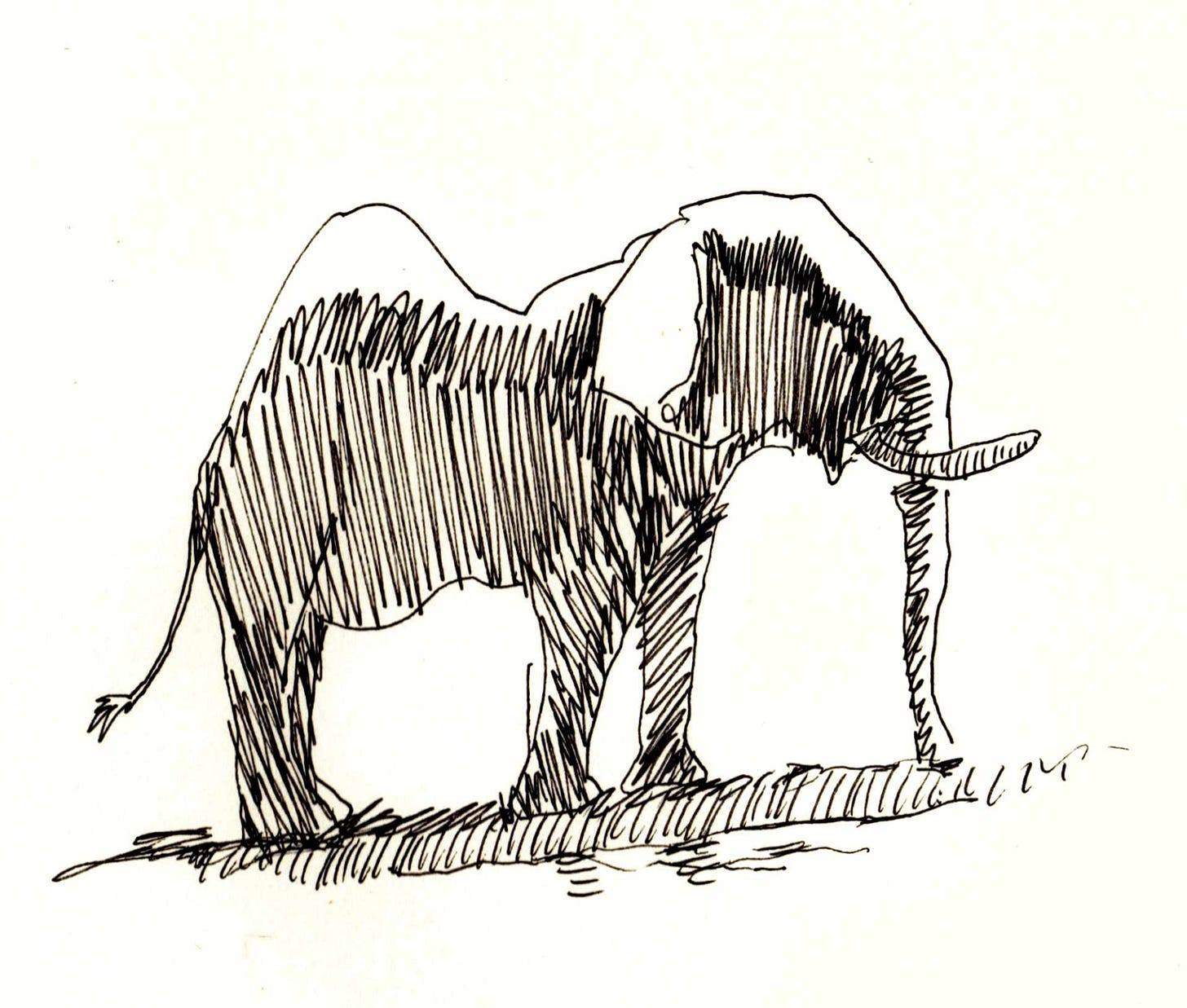 Ink sketch of an elephant in silhouette.