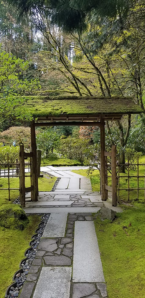 Photos of cherry trees, moss gardens, stone garden, pagoda lantern, Jizo statue, and camellias in bloom