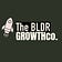The BLDR Growth Co.