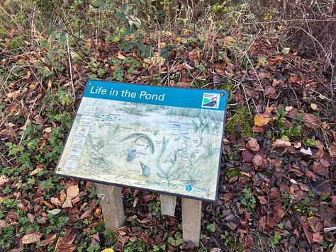 Photos from Langford Lakes, Wiltshire Images: Roland's Travels