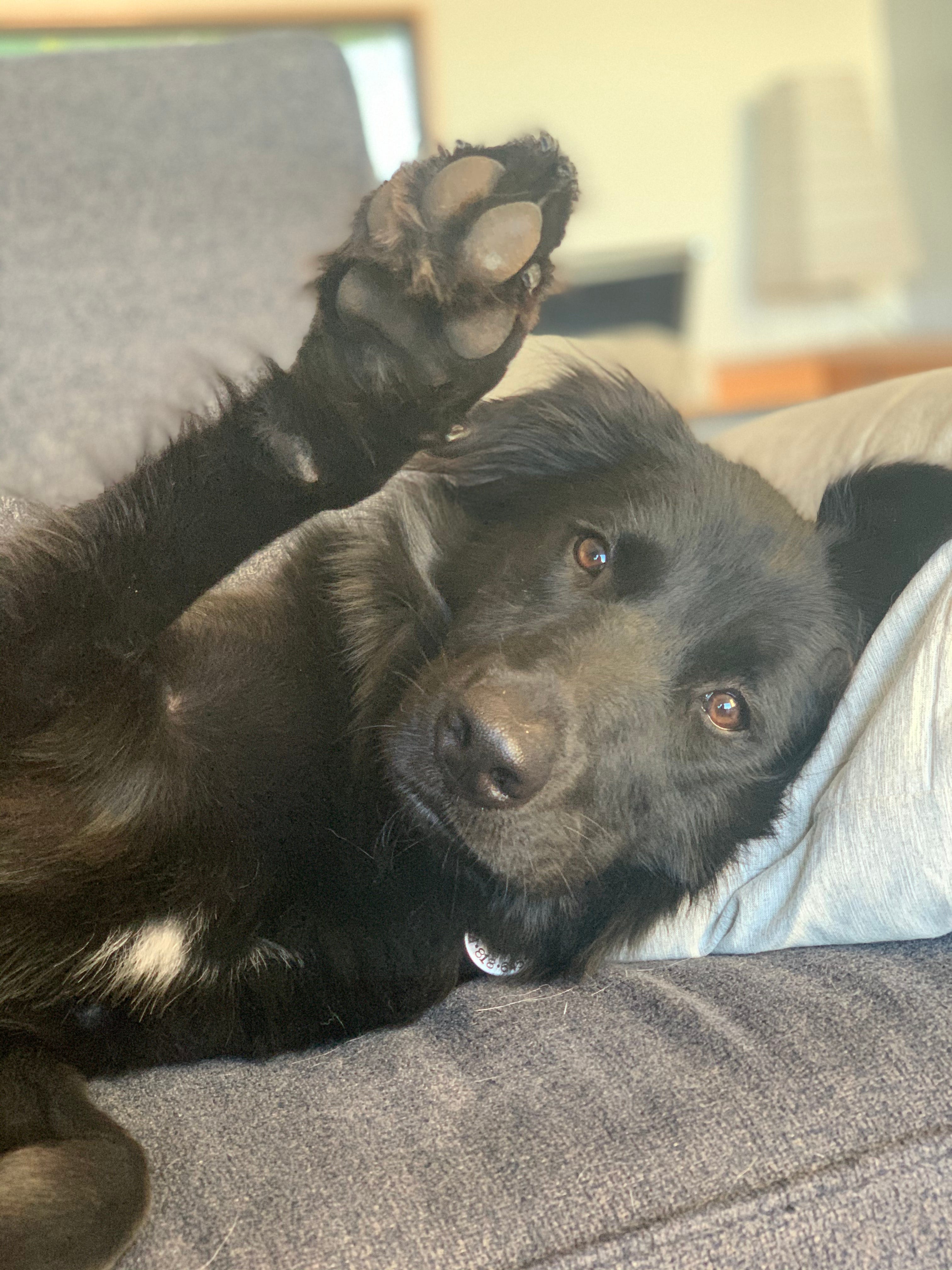 Elissa Explains It All