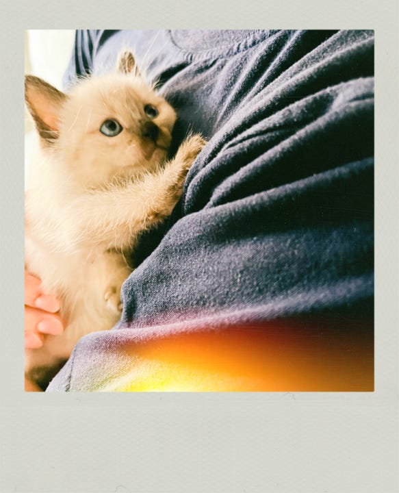 Arquivo 01-12-23, 16 47 18.jpeg