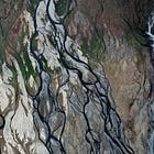 Let rivers roam free!