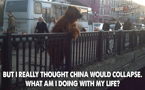 https://i0.wp.com/themacrotourist.com/images/2017/09/BearSep0817.png