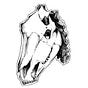 Ms. Horse's avatar