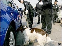 dogsniffing dogsniffing