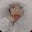 Temlin's avatar