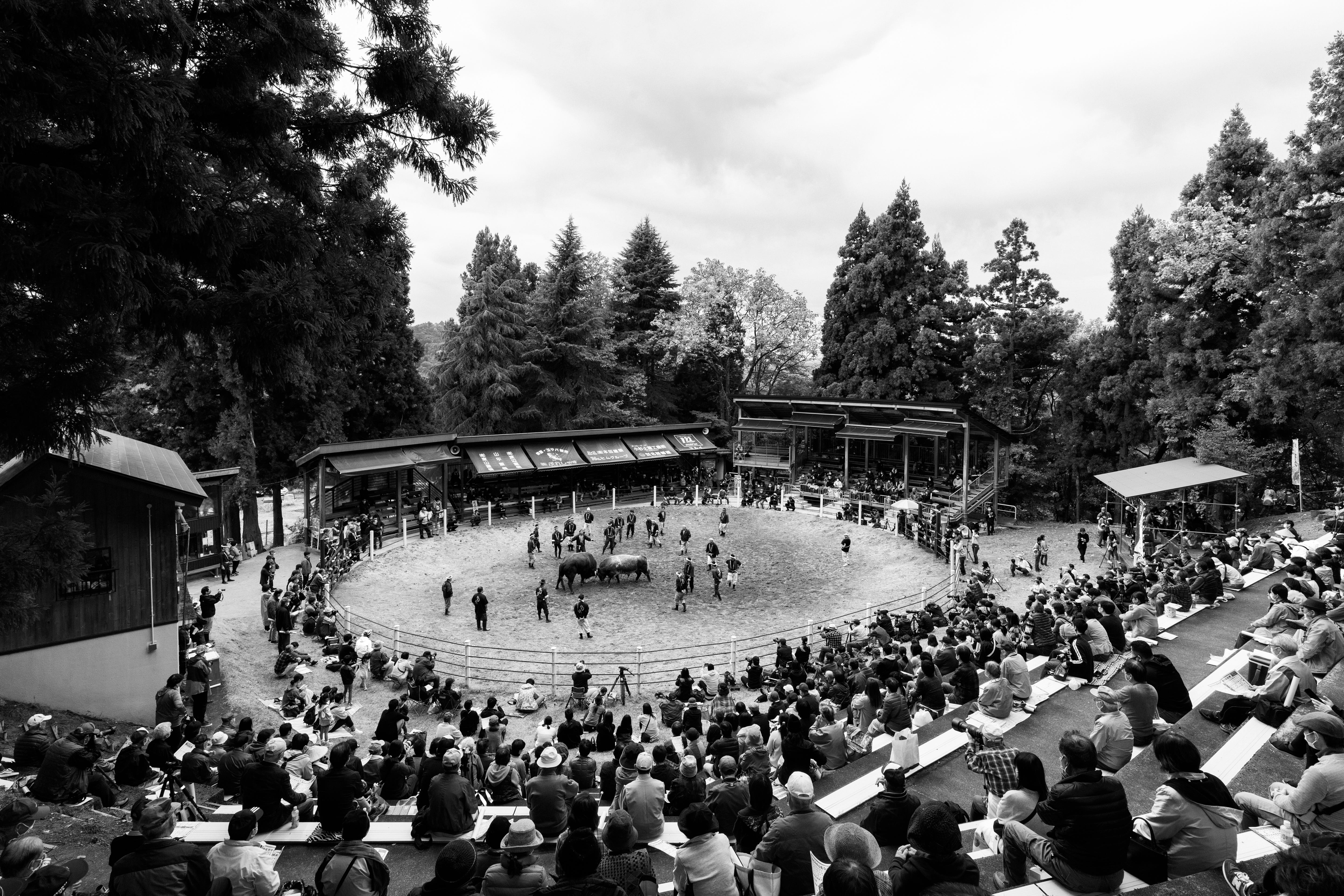 パブリック・ヒストリー入門 開かれた歴史学への挑戦 パブリック・ヒストリー入門―開かれた歴史学への挑戦 | , 菅 豊