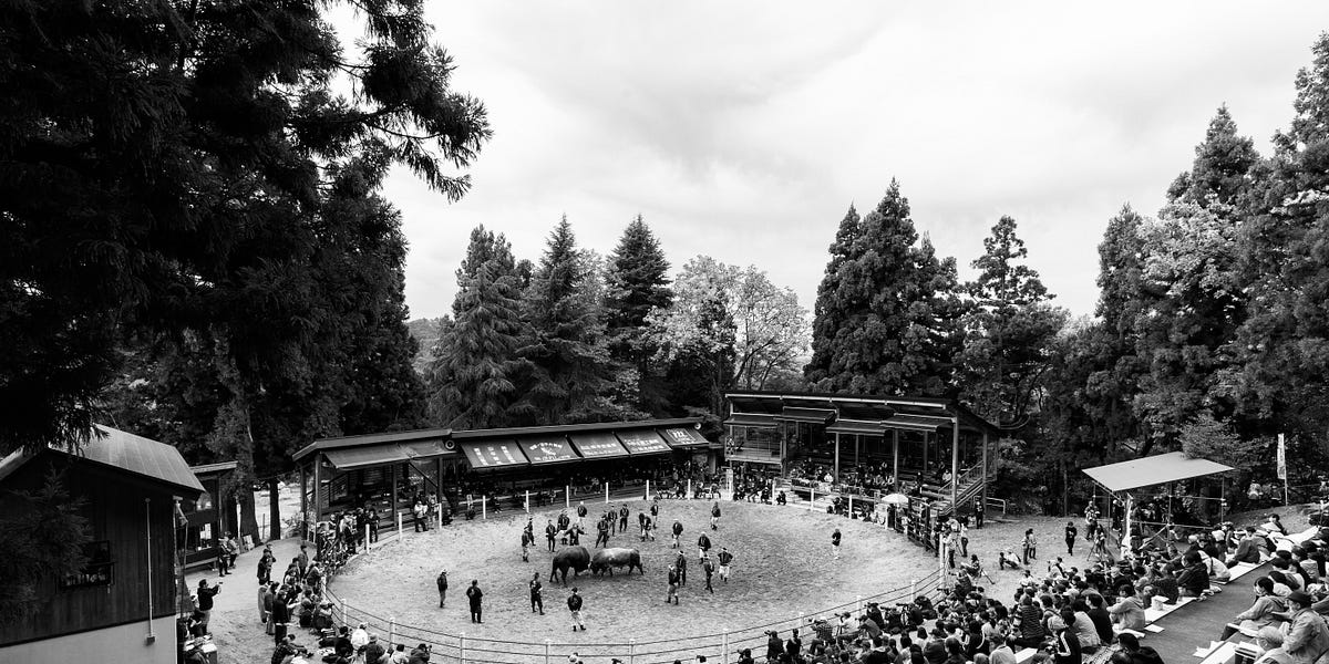 歴史は“みんな”で紡げるか：「パブリック・ヒストリー」の格闘 - WORKSIGHT