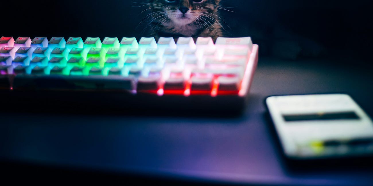 "La tech, c'est ingrat. Il faut l'accepter."