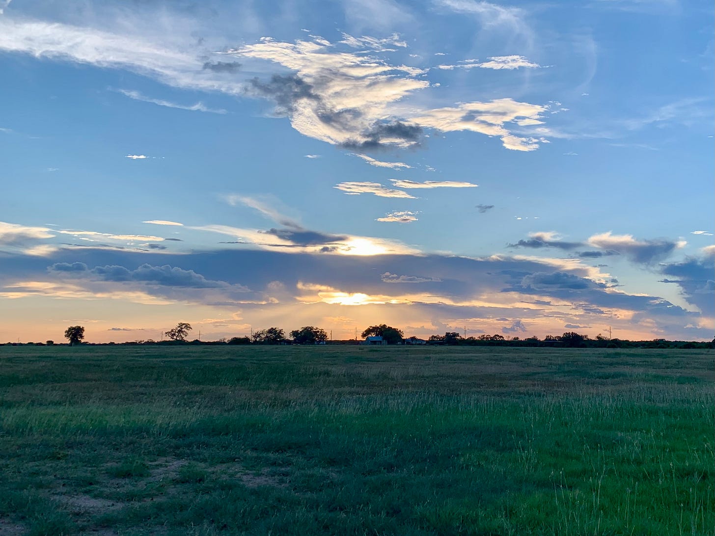 Image of sunset over the field containing the "Deaf Smith Oak Tree" just outside La Vernia, Texas.