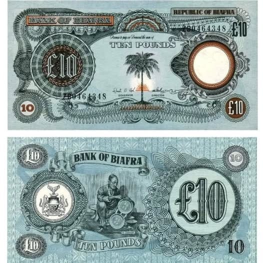 No photo description available. No photo description available.