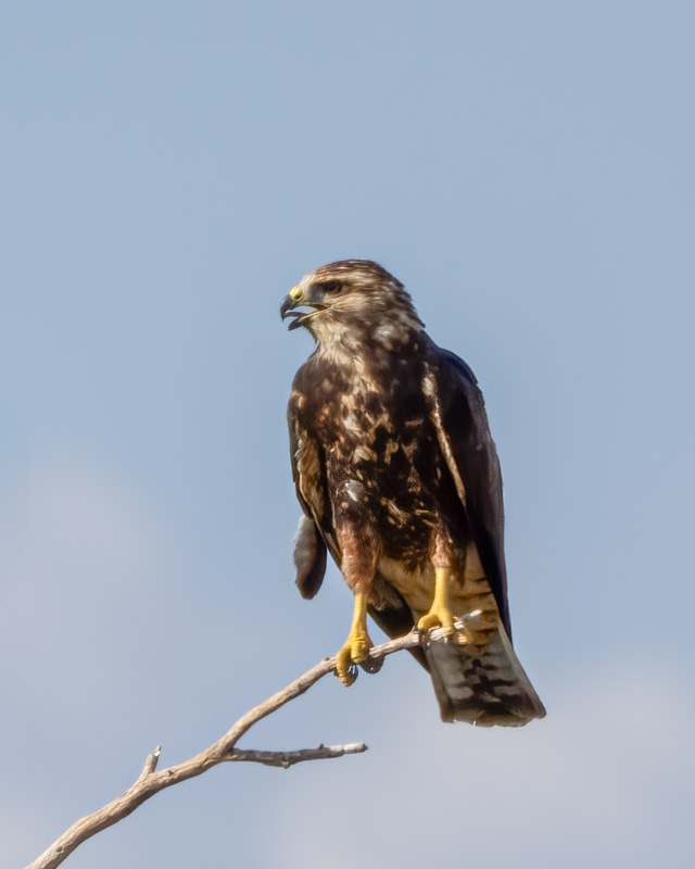 20250801-Manville-744-Edit.jpg 20250801-Manville-744-Edit.jpg