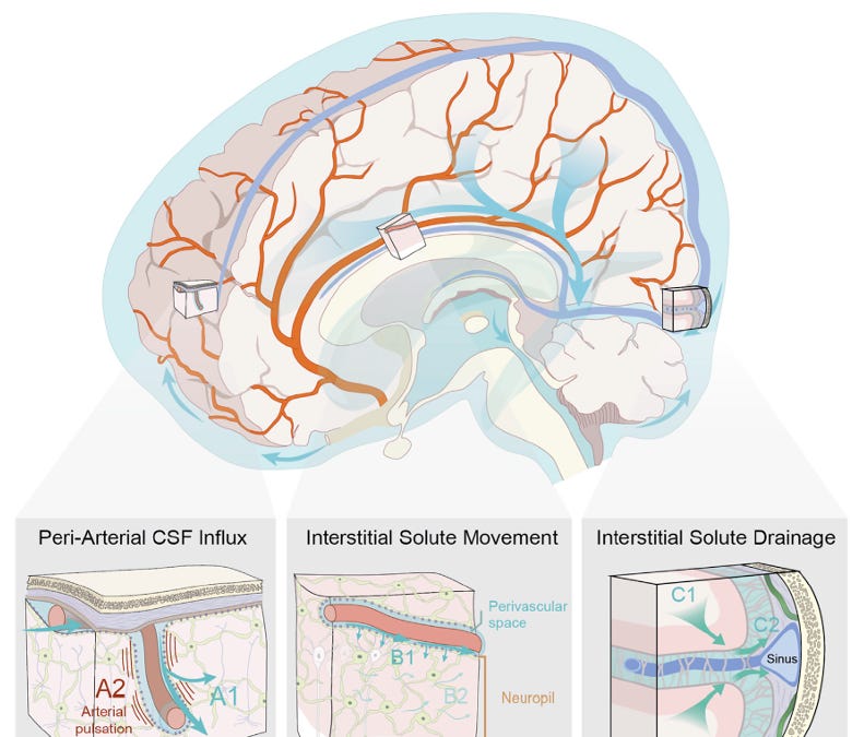 Can we Bend the Curve of Parkinson’s Disease by Improving Our Sleep?