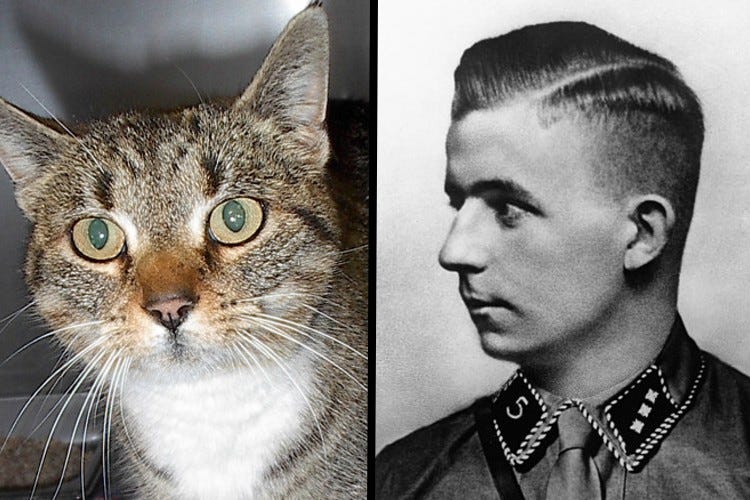 Is KitKat the Modern-Day Horst Wessel?
