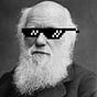 Max Meursault's avatar