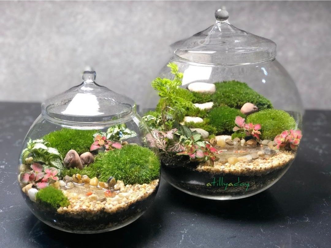 Landscape closed terrariums