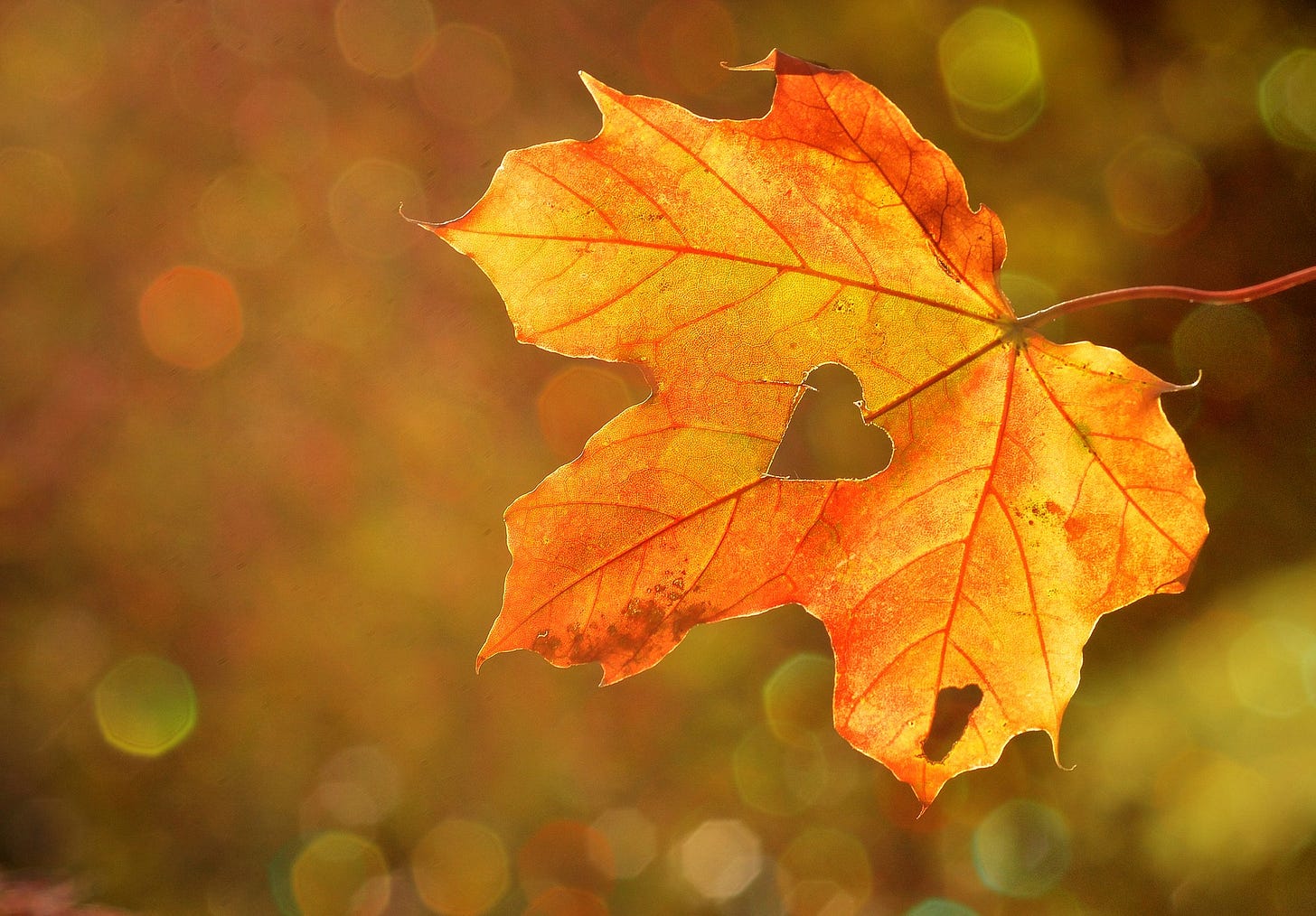 "Seasons" It is okay to change your mind about things as you grow and acquire more knowledge 