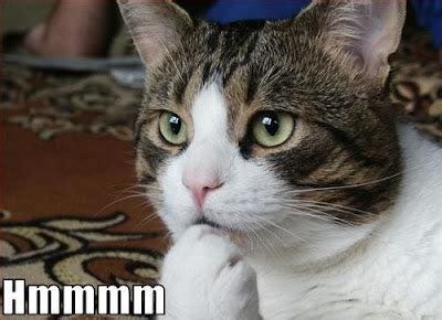 The Lady(Bug) of the Household: 100 Things That Make You Go, Hmmm...