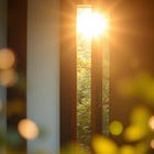 🌱 The Lucky Seedling, Part One