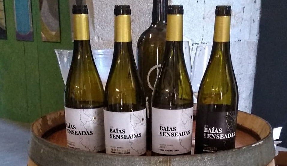 Baías e Enseadas - Photo courtesy Baías e Enseadas