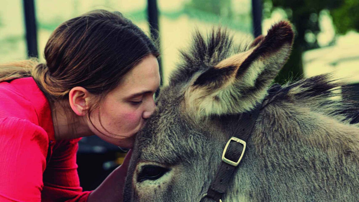 Eo', el espectáculo circense de un burro y su querida amazona