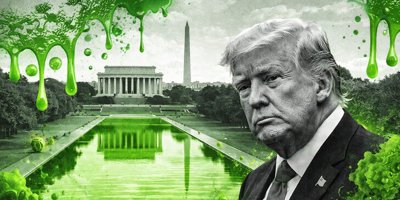 Trump’s Swamp of Lies