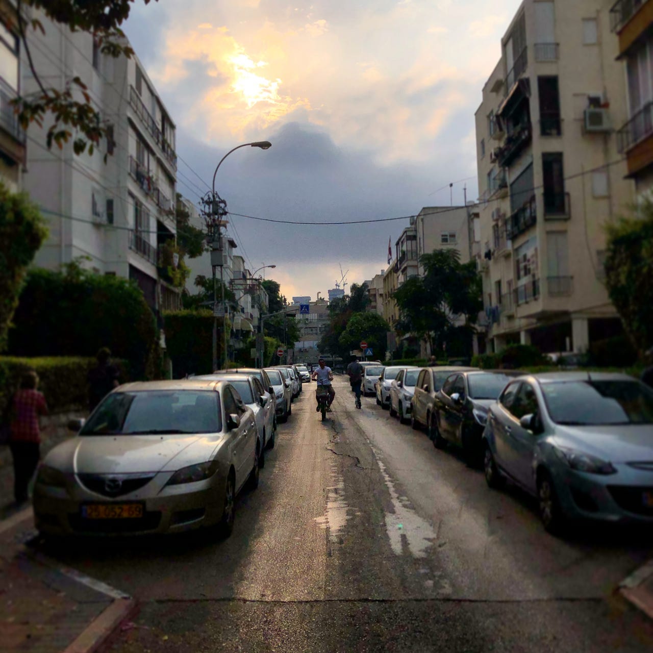 Bones of Joseph: Dispatches from Tel Aviv