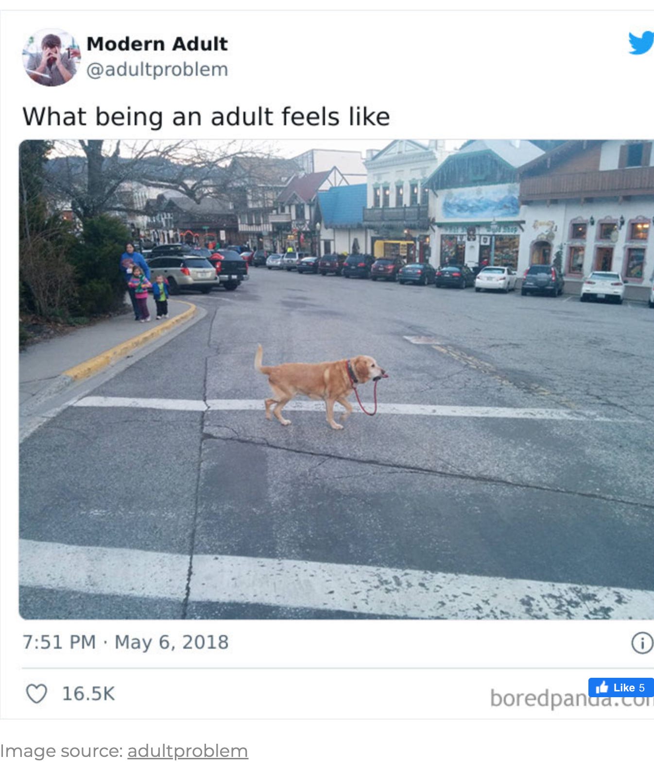 What being an adult feels like... Credit: Modern Adult via Bored Panda