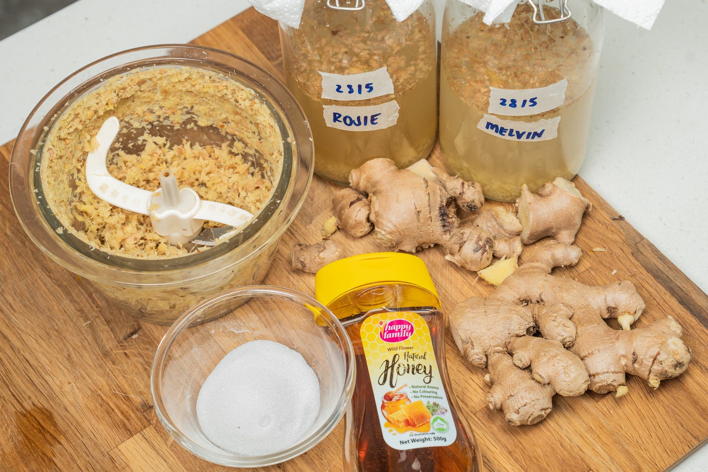 top view of ginger and ginger bug