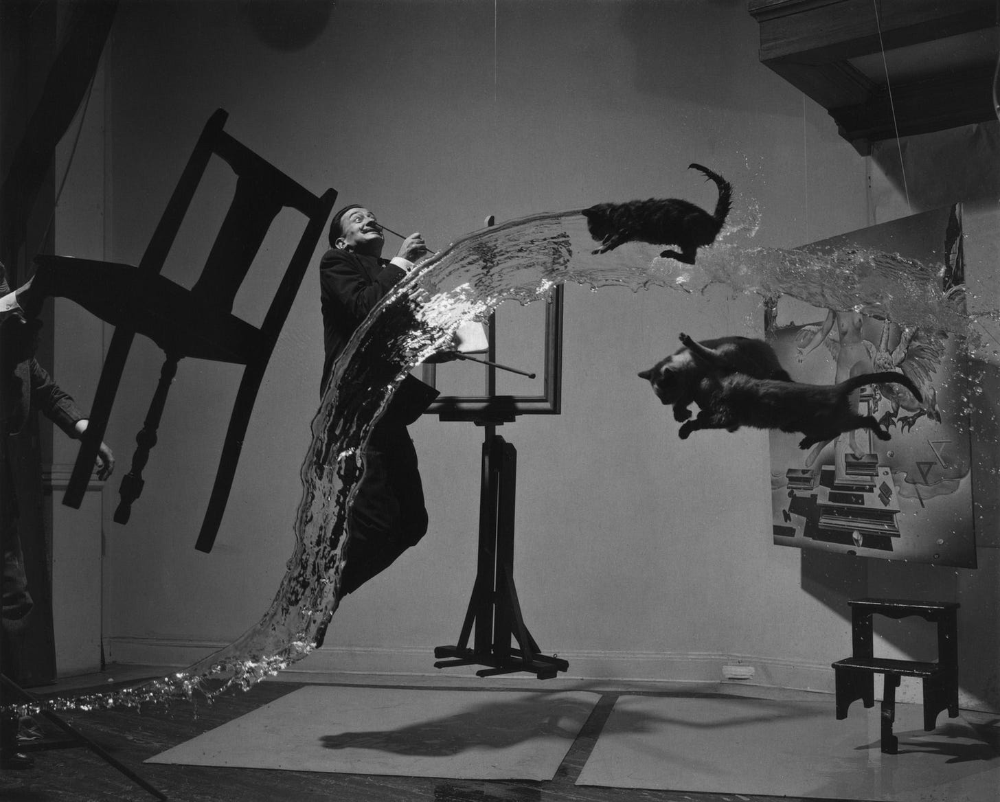 Dali Atomicus photograph