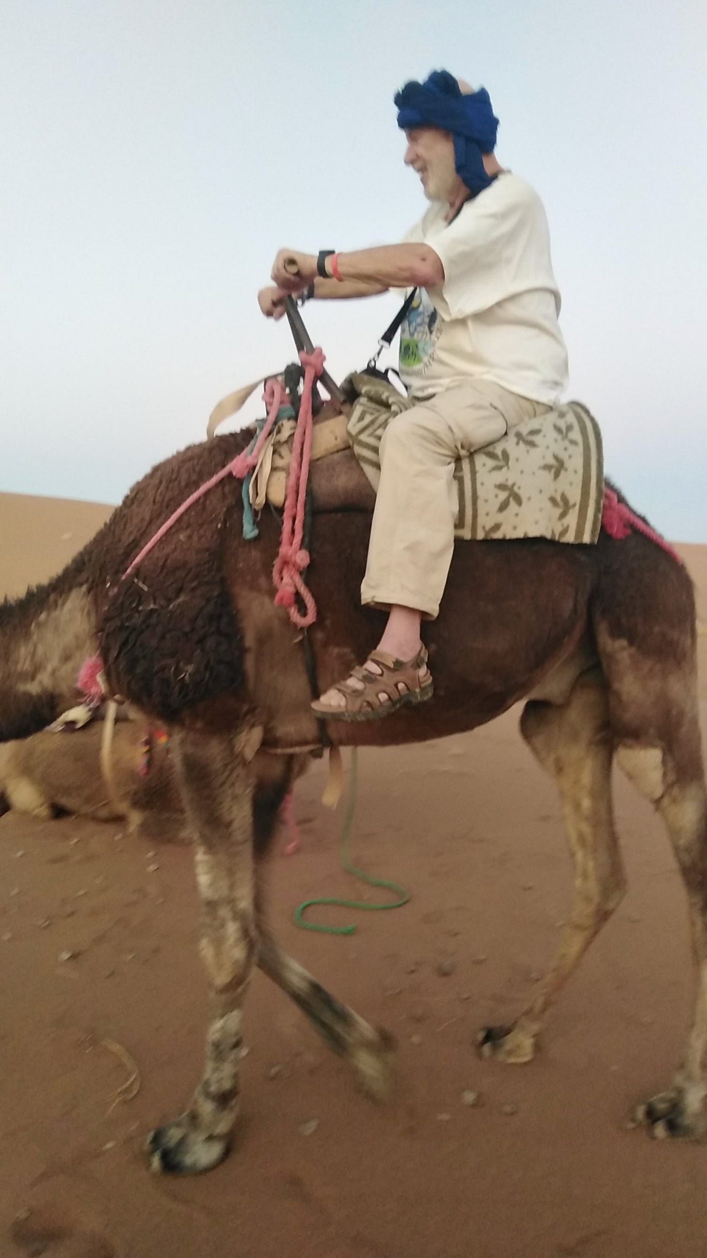 Spring 2025 026 Sahara Camel Ride - by Bruce Cadbury