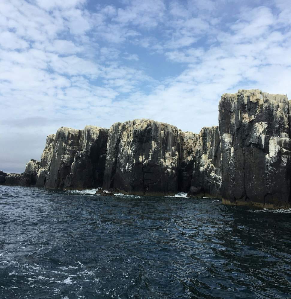 The rock shores of the Farne Islands, off the coast of Northumbria