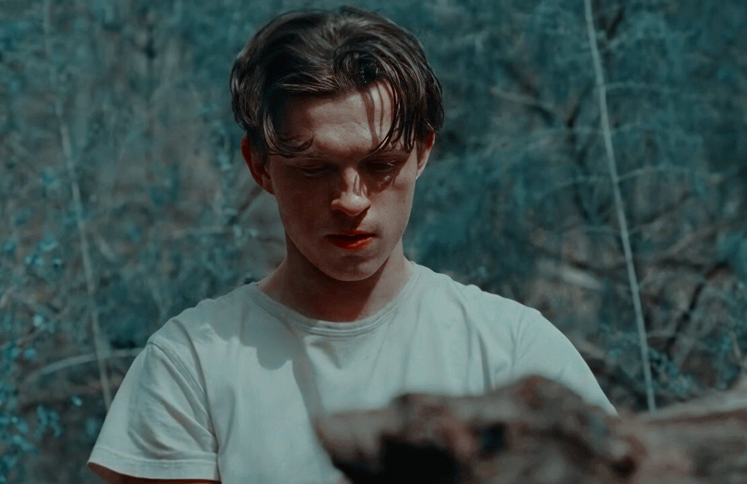 Descubre 20 ideas de the devil all the time y tom holland | super héroe, tom  holland imagina, actores y más