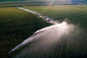 A center-pivot irrigation system waters a cornfield near Adams, Nebraska, about 45 minutes south of Lincoln. A new Husker-led study shows how the depletion of groundwater — the same that many farmers rely on for irrigation — can threaten food production amid drought and drier climes. Due in part to the challenges of extracting groundwater, an aquifer’s depletion can curb crop yields even when it appears saturated enough to continue meeting the demands of irrigation, the study found.