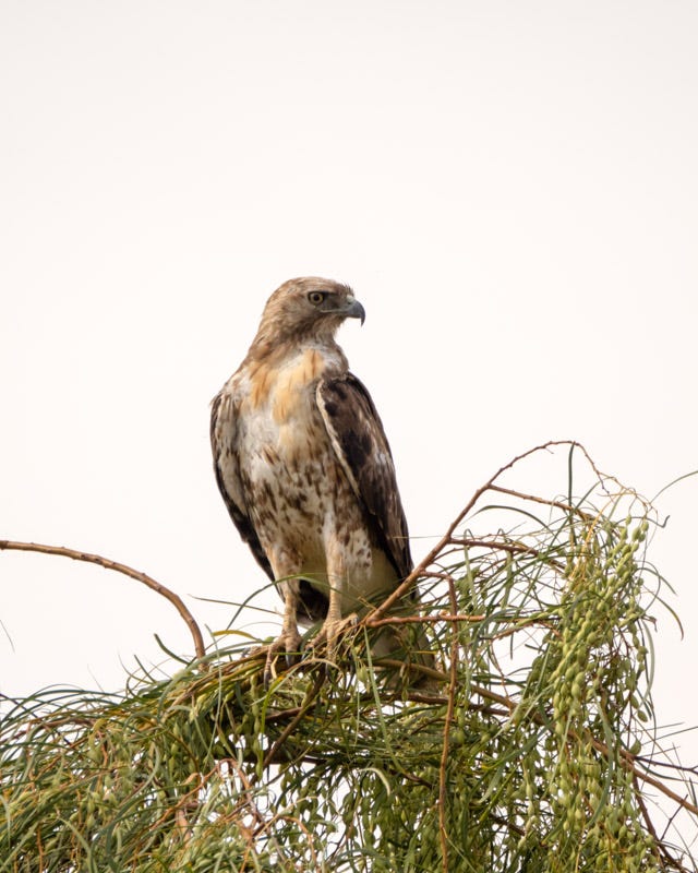 20240520-SGC-224-Edit.jpg