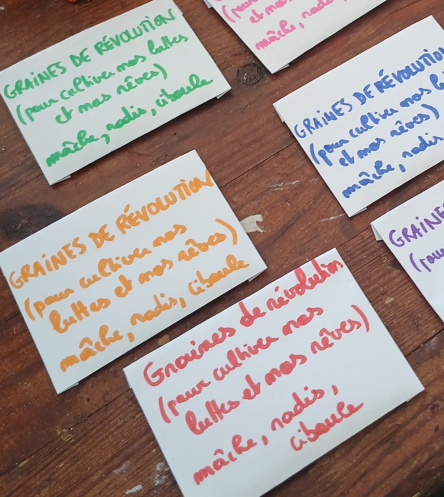 Photo de petites enveloppes blanches posées sur une table en bois. Sur chacune d’elles on peut lire, écrit au feutre de couleurs différentes: Graines de révolution (pour cultiver nos luttes et nos rêves), mâche, radis, ciboule.