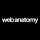 Web anatomy