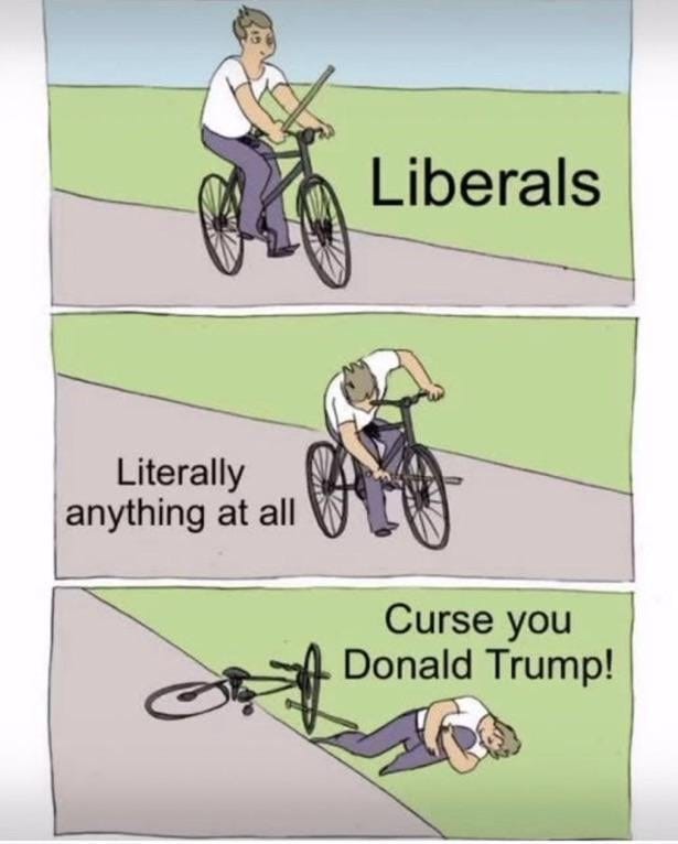 r/ConservativeMemes - So sad